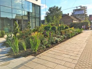 colindale-marketing